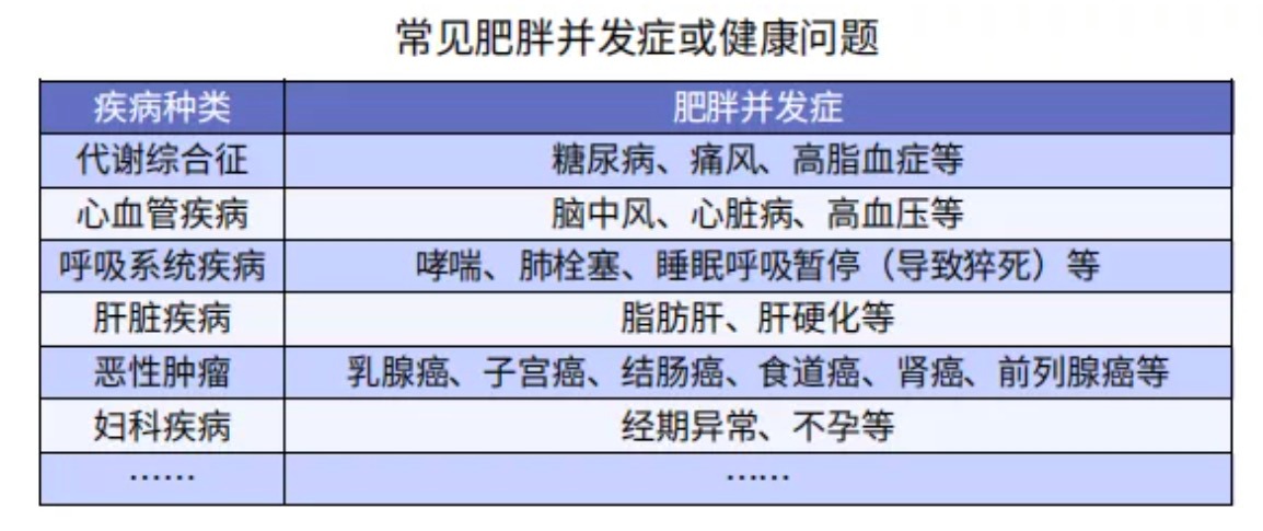 太胖被拒保怎么辦？