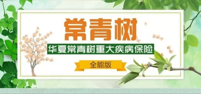 華夏常青樹(shù)保險怎么樣