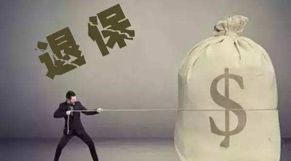 買(mǎi)的保險不想續保了能退嗎？