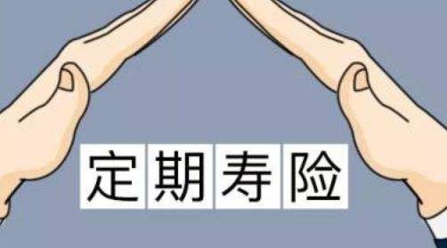 定期壽險適合什么人？
