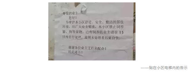 為什么不買(mǎi)保險就不讓養狗？