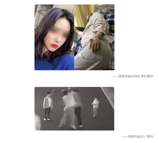 為什么不買(mǎi)保險就不讓養狗？