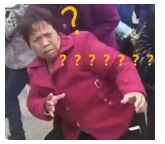 為什么不買(mǎi)保險就不讓養狗？