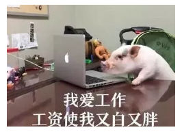 發(fā)生車(chē)禍如何快速理賠？