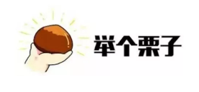 什么是年金轉換？