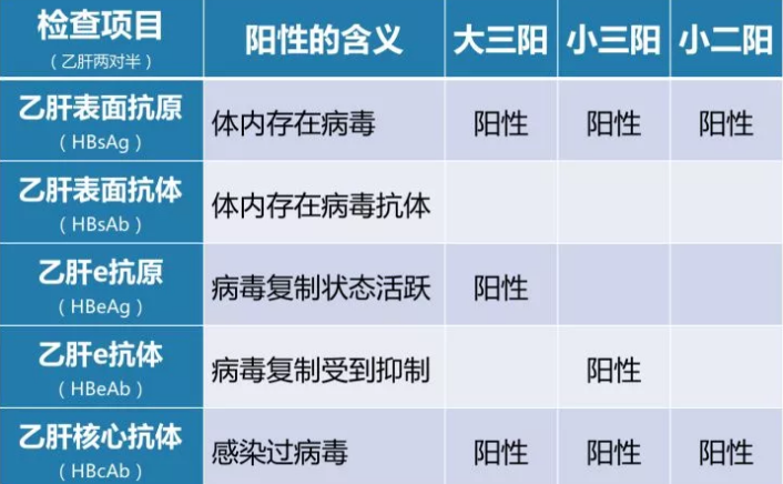 乙肝病毒攜帶者應該如何正確投保？