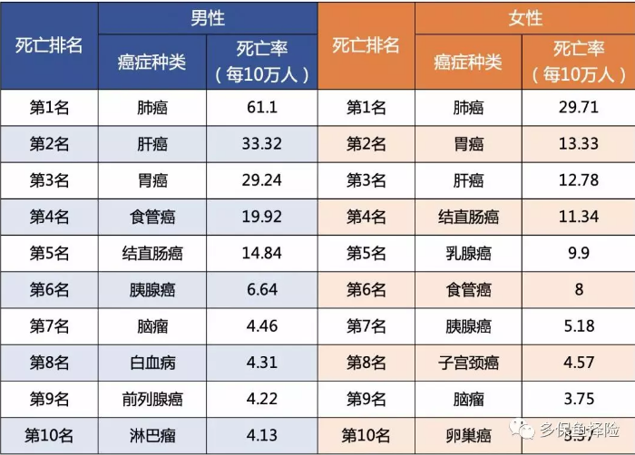女性高發(fā)重疾怎么選？