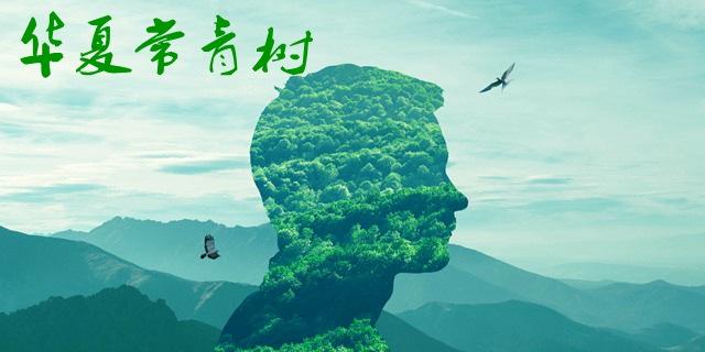 華夏常青樹(shù)多倍版2.0包括哪些??？